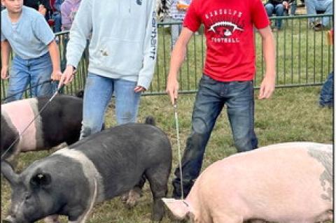 	Exhibitors earn ribbons at Community Fair livestock show
