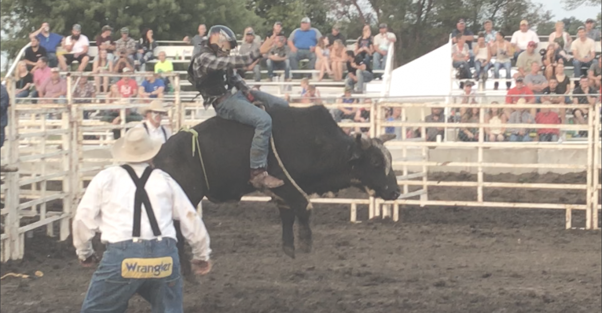 Hartington-Newcastle's Ethan Koch climbed aboard this bull at the Dixon County Fair to try bull riding for the first time. Photo courtesy of Morgan Koch